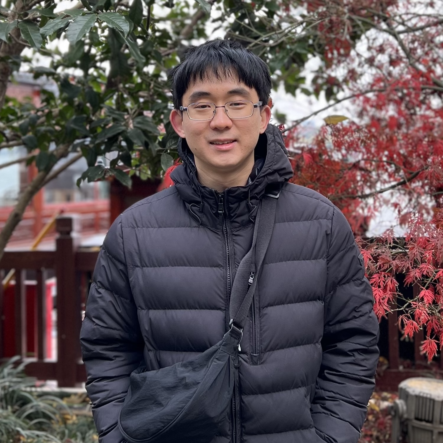 David Fan